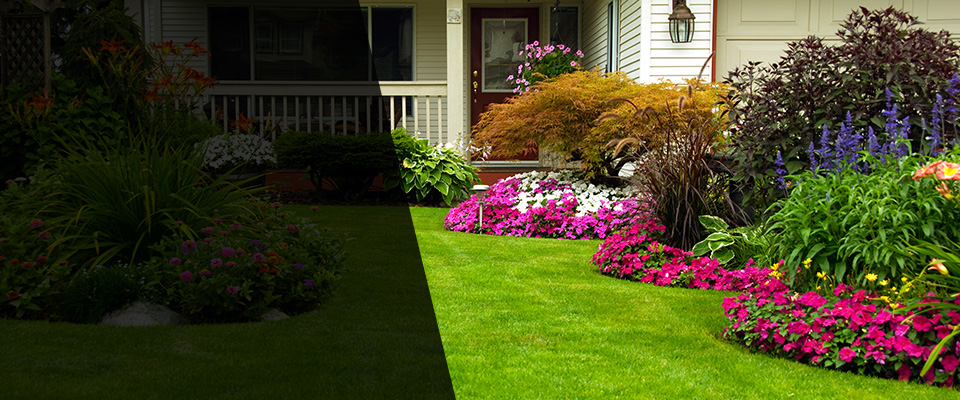 Epsom Landscapers
