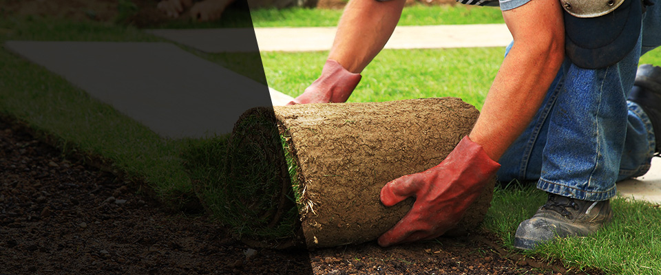 Epsom Landscapers